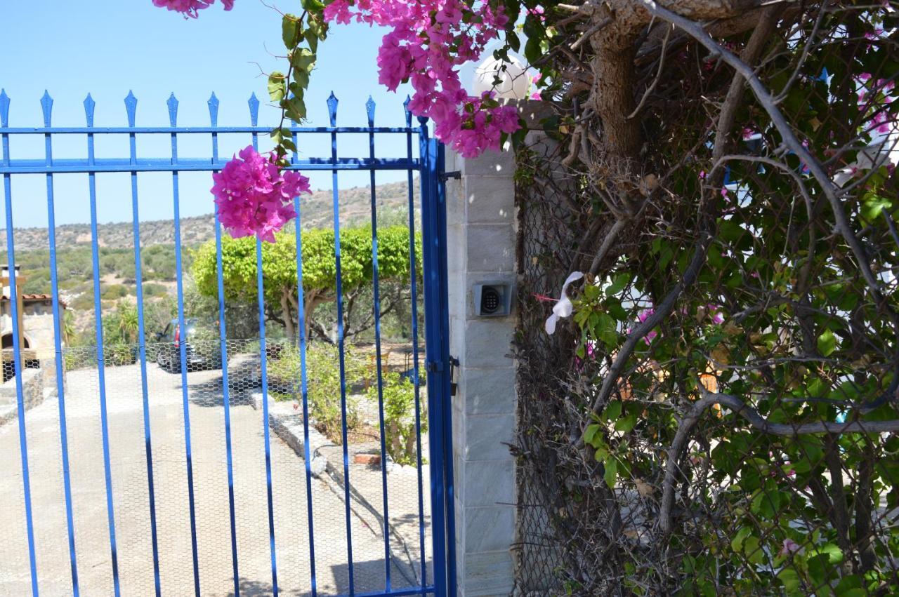 סיסי Villa Sk מראה חיצוני תמונה
